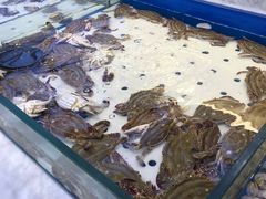 -川骄海鲜自助(河东店)