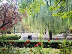 -元大都城垣遗址公园