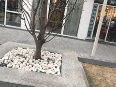 -九秋茶铺(三里屯店)
