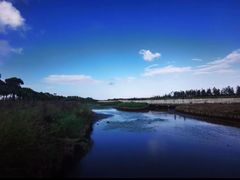 -春花秋色城市公园