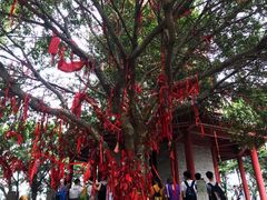 -南沙天后宫景区