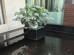 -天津波士信达奔驰4S店(卫津南路店)