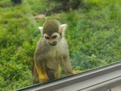 -石家庄市动物园