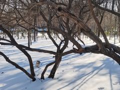 -长春市南湖公园