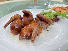 红烧乳鸽-鹏城人家海鲜酒家·23年老字号(较场尾店)