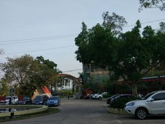 -南宁良凤江国家森林公园