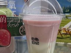 -白色日记·手作酸奶(麦凯乐店)