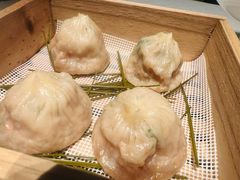 -桂满陇·海市蜃楼·黑金(国金店)