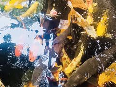 -侠成水上农庄(工业大道店)