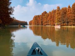 -上海海湾国家森林公园