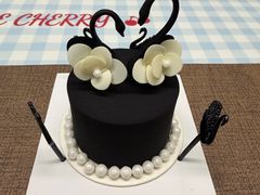 -BLACKSWAN黑天鹅(环球店)