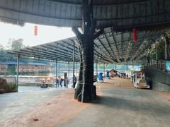 -观澜山水田园