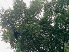 -广州长隆野生动物世界