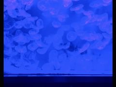 -沈阳海洋探索中心