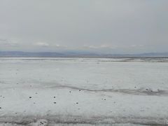 -青海茶卡盐湖文化旅游发展股份有限公司