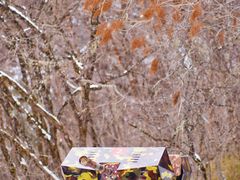 -叠溪松坪沟景区