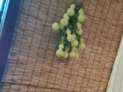 -东北大院·东北菜(三台子店)