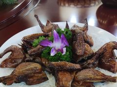 -绿雅居原生态农庄(小涌店)