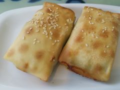 -撒拉花儿·新疆菜·清真(太阳宫店)