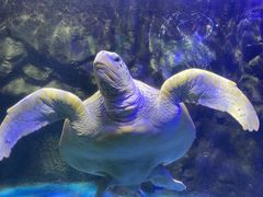 -太平洋海底世界