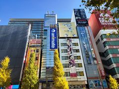 -秋叶原电器街