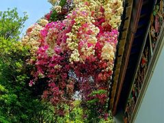 -深圳国际园林花卉博览园