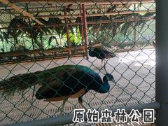 -中国科学院西双版纳热带植物园