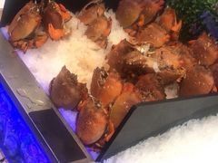 -梅园国际大酒店·自助餐厅(光明港店)