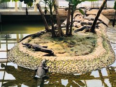 -石家庄市动物园