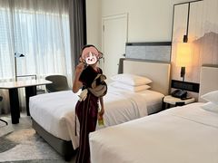 -新加坡乌节希尔顿酒店 (SG Clean)