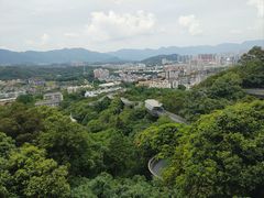 -福道