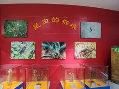 -上海昆虫博物馆