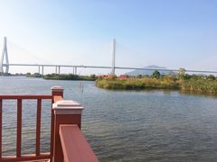 -芒洲湿地公园