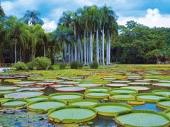 -中国科学院西双版纳热带植物园