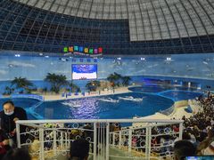 -泉城欧乐堡海洋极地世界