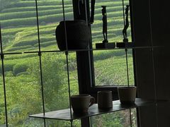 -野蔓果·山野菜(西湖景区·龙井茶田店)