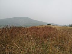 -恋山坝上草原