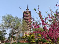 -西海子公园