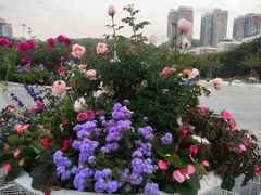 -深圳国际园林花卉博览园