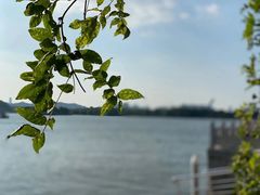 -望海·帆船主题咖啡厅•品茗下午茶(石湖景区店)