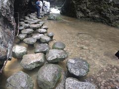 -牛背梁国家森林公园