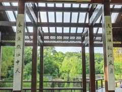 -长广溪湿地公园