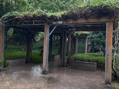 -徐家汇源景区-衡山公园