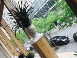 -佐登妮丝美容SPA生活馆