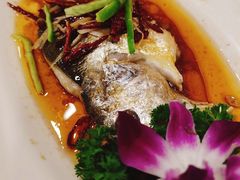清蒸黄花鱼-青瓦餐厅·生鱼片·韩园烤肉(西塔店)