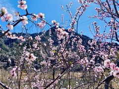 -碓臼峪自然风景区