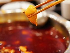 -冯记香辣兔火锅(茶店子总店)