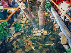 大堂-山有花啡餐厅(常营总店)