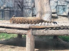 -石家庄市动物园