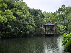 -浙江西子宾馆·瑶园咖啡厅